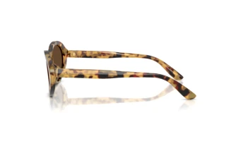 Side view Dolce & Gabbana DG4570 (512/73)