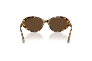 Rear view Dolce & Gabbana DG4570 (512/73)