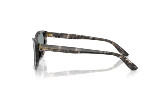 Side view Dolce & Gabbana DG4571 (3172/1)