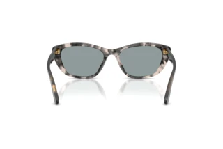 Rear view Dolce & Gabbana DG4571 (3172/1)