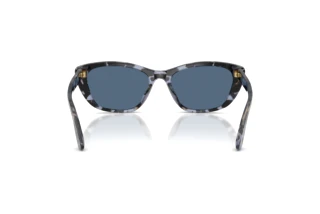 Rear view Dolce & Gabbana DG4571 (344380)