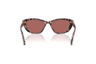 Rear view Dolce & Gabbana DG4571 (347669)