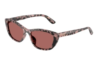 Front view Dolce & Gabbana DG4571 (347669)