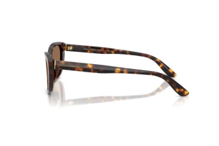 Side view Dolce & Gabbana DG4571 (502/73)