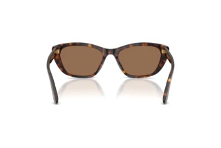 Rear view Dolce & Gabbana DG4571 (502/73)