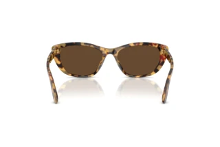 Rear view Dolce & Gabbana DG4571 (512/73)