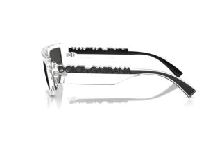 Side view Dolce & Gabbana DG6203 (313387)
