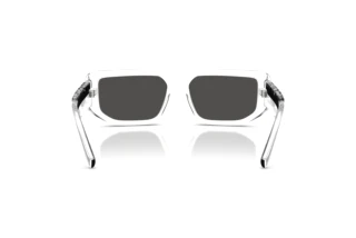 Rear view Dolce & Gabbana DG6203 (313387)