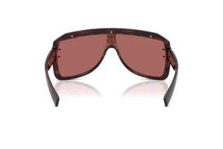 Rear view Dolce & Gabbana DG6205 (347669)
