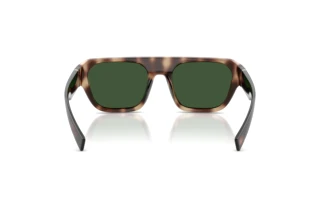 Rear view Dolce & Gabbana DG6206 (344482)