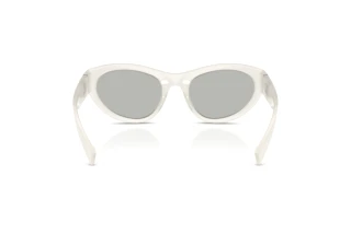 Rear view Dolce & Gabbana DG6207 (30398V)