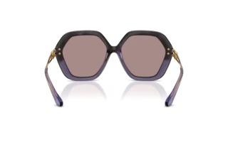Rear view Dolce & Gabbana DG6210 (3494LA)