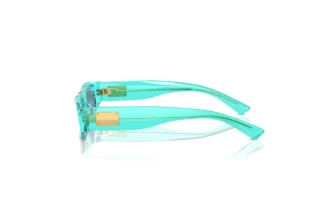 Side view Dolce & Gabbana DX4005 (332280)