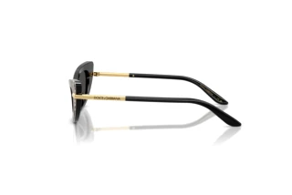 Side view Dolce & Gabbana DX4008 (316397)