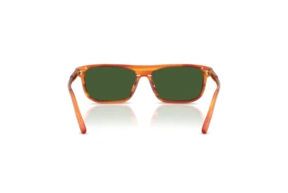 Rear view Dolce & Gabbana DX4009 (348371)