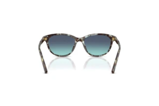 Rear view Dolce & Gabbana DX4010 (34434S)