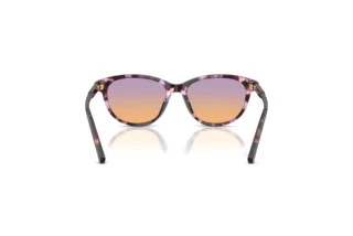 Rear view Dolce & Gabbana DX4010 (3477EL)