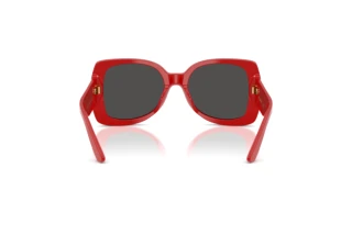 Rear view Dolce & Gabbana DX4012 (308887)