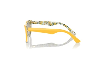Side view Dolce & Gabbana DX4427 (34437J)