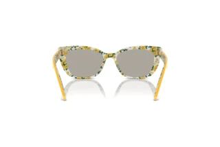 Rear view Dolce & Gabbana DX4427 (34437J)