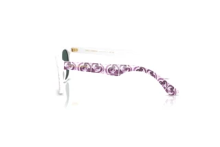 Side view Dolce & Gabbana DX4427 (34595R)