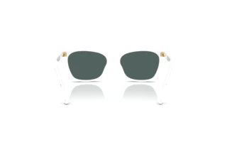 Rear view Dolce & Gabbana DX4427 (34595R)