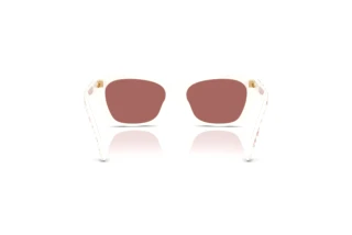 Rear view Dolce & Gabbana DX4427 (348769)