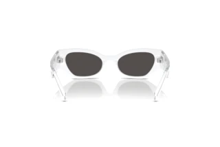 Rear view Dolce & Gabbana DX6003 (331287)