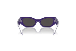 Rear view Dolce & Gabbana DX6003 (333587)