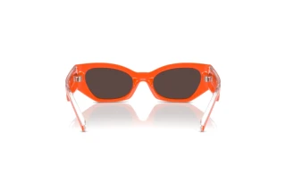 Rear view Dolce & Gabbana DX6003 (33386Q)