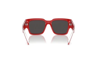 Rear view Dolce & Gabbana DX6004 (308887)