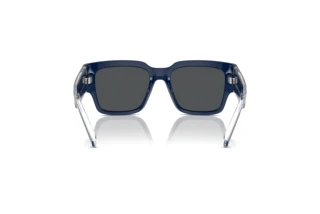 Rear view Dolce & Gabbana DX6004 (309455)