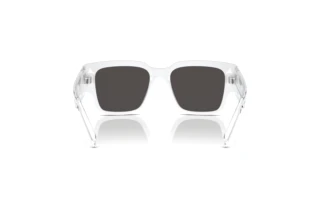 Rear view Dolce & Gabbana DX6004 (331287)
