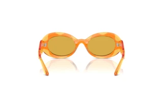 Rear view Dolce & Gabbana DX6005 (33347J)