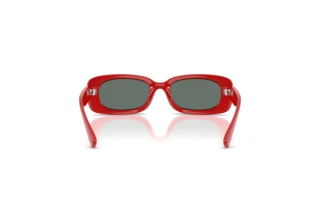 Rear view Dolce & Gabbana DX6006U (308825)