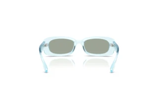 Rear view Dolce & Gabbana DX6006U (33466J)