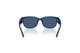 Rear view Dolce & Gabbana DX6009 (300980)