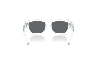 Rear view Dolce & Gabbana DX6009 (31336G)