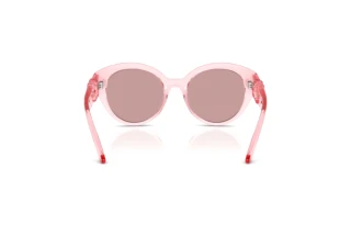 Rear view Dolce & Gabbana DX6010 (3098VS)