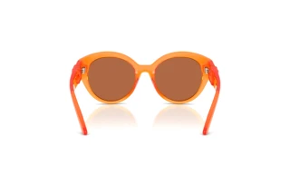 Rear view Dolce & Gabbana DX6010 (33887J)