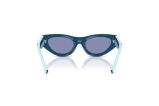 Rear view Dolce & Gabbana DX6012 (30151U)