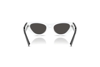 Rear view Dolce & Gabbana DX6012 (345787)
