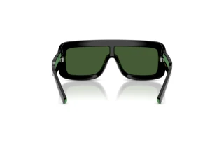 Rear view Dolce & Gabbana DX6013 (501/71)
