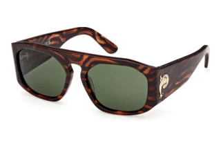 Front view Emilio Pucci EP0242 (56N)