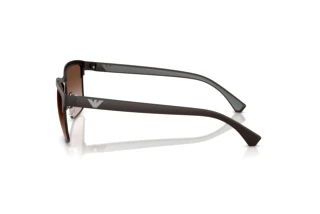 Side view Emporio Armani EA2087 (339013)
