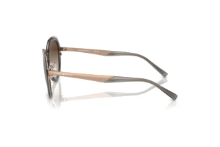 Side view Emporio Armani EA2146 (336113)