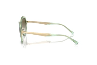 Side view Emporio Armani EA2146 (33638E)