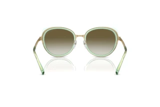 Rear view Emporio Armani EA2146 (33638E)
