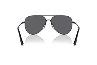 Rear view Emporio Armani EA2149D (300181)