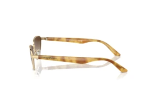 Side view Emporio Armani EA2153 (301313)